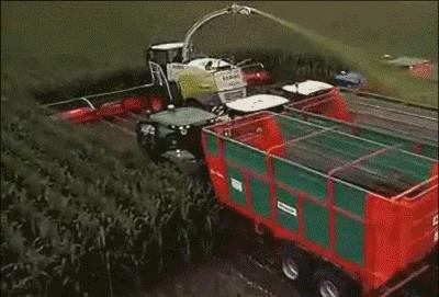 德国的认真和严谨,德国人的严谨和认真有多可怕