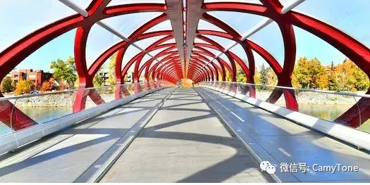 40涓悊鐢辫浣犵埍涓婂姞鎷垮ぇ鍗″皵鍔犻噷,鍘诲姞鎷垮ぇ鍗″皵鍔犻噷鏀荤暐