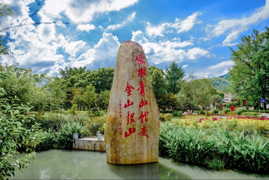 今日头条农村支部书记,浙江党支部书记