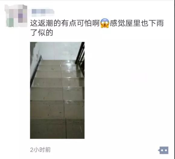 衣服不干、地板打滑、墙壁冒水，这样的回南天受不了啦！