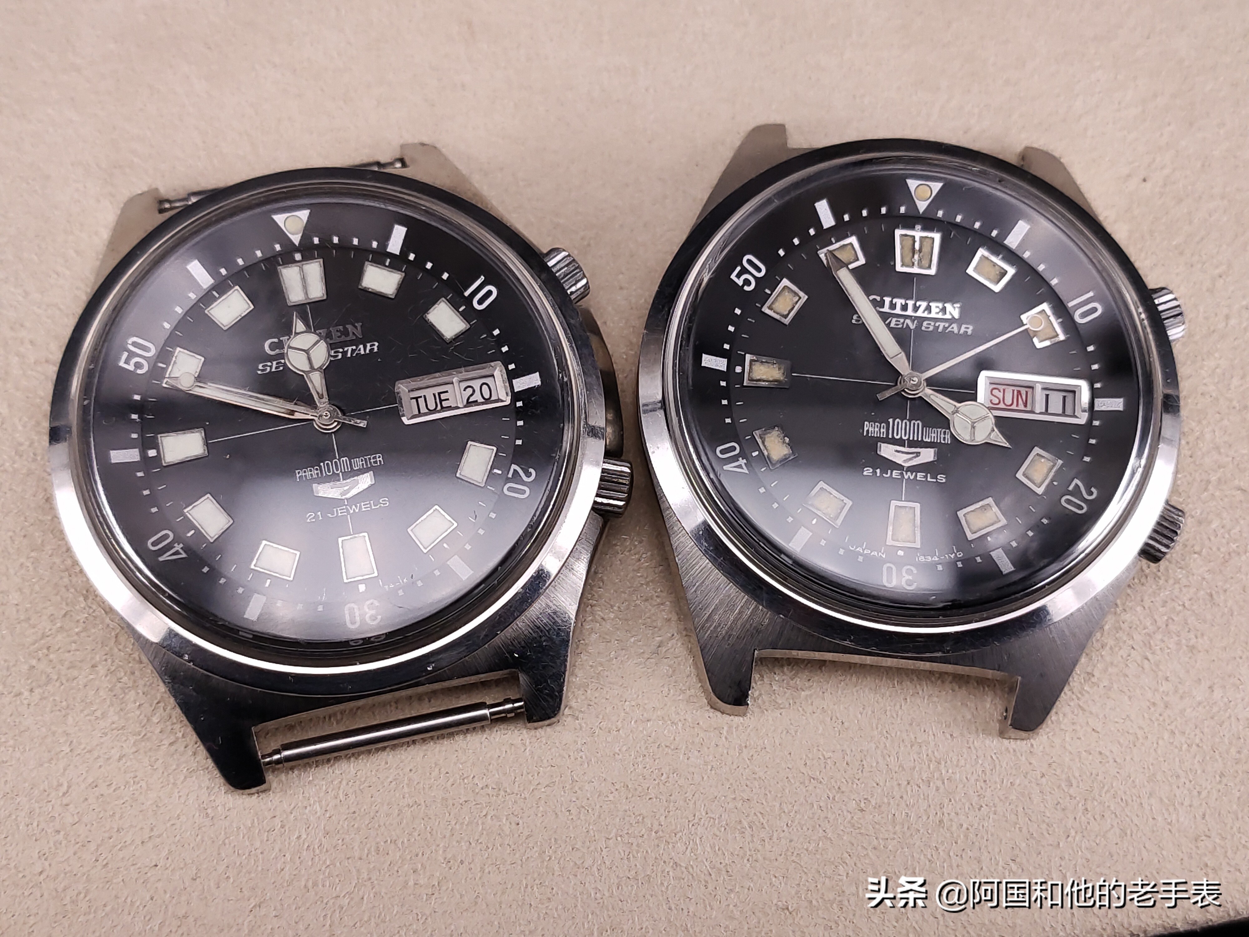 50年后的相见两只西铁城水鬼