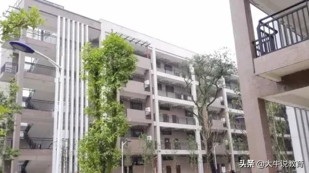 师陶圣地,育才摇篮,近七年数据深度剖析,祝中考学子乘风破浪