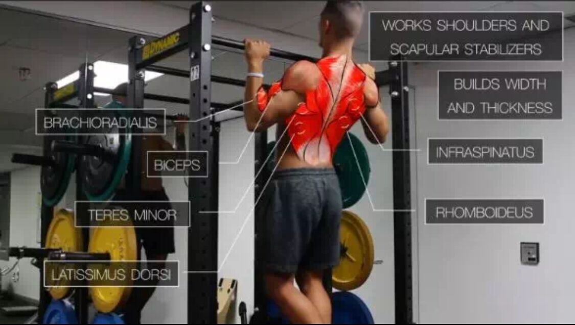 引体向上如何从2个提升到5个,引体向上想做到20个应该怎么训练