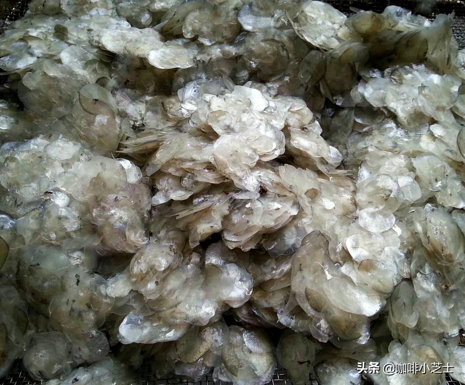 中国人吃鱼吃的鱼到底有多香,中国人太能吃了