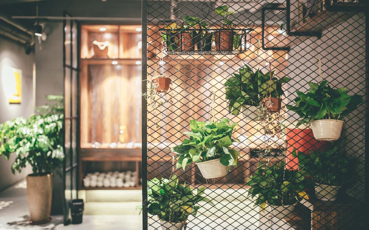 品尝厦门最美味的海鲜大餐,探索厦门风光体验海鲜盛宴