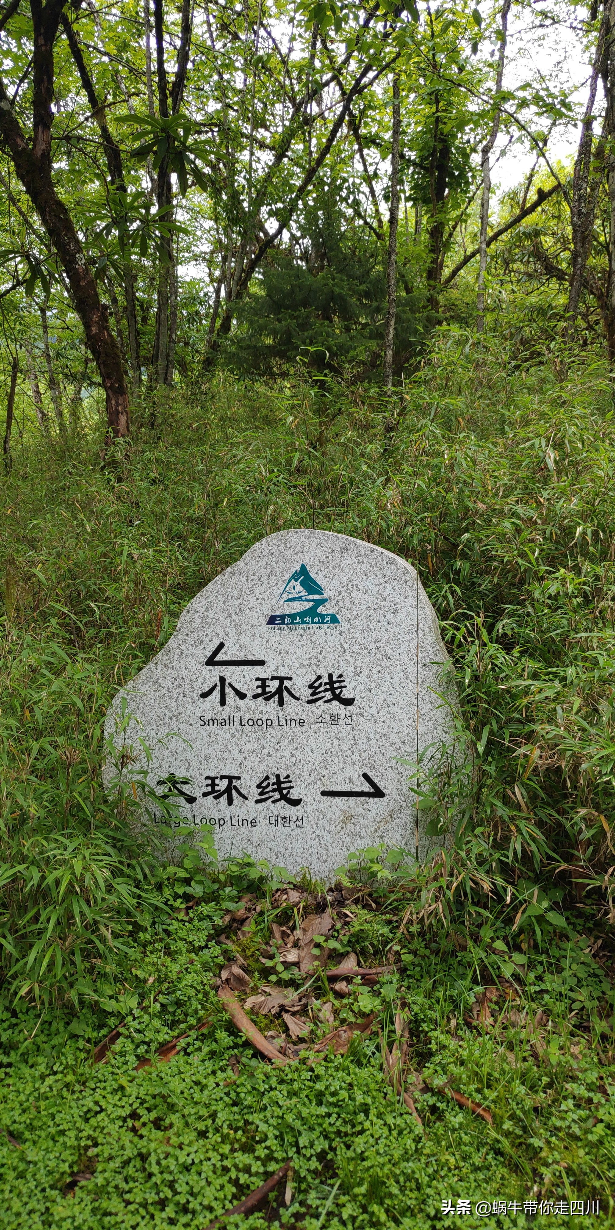 一家三口重庆到拉萨旅游攻略预算,一家三口成都去拉萨大概要多少钱