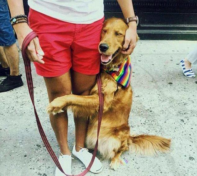 狗狗做出这五个动作是向你求救,狗狗这几个行为是在向宠主求救