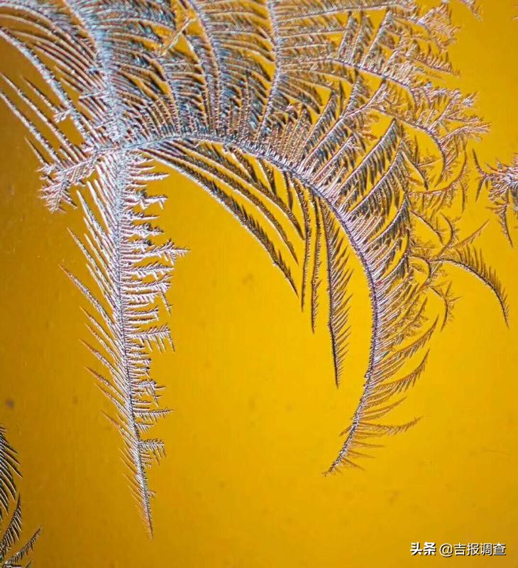 清晨玻璃窗上结满了霜花,唐古拉玻璃窗上的霜花