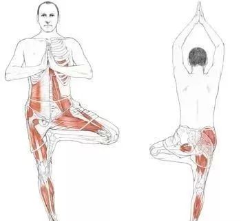 十年的脾虚该怎么调,脾虚教你一个小方法