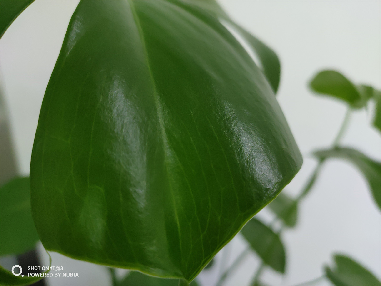 2899元起！红魔3评测：骁龙855+主动散热风扇