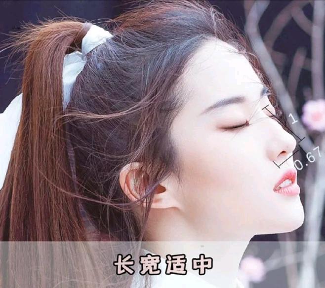 判断最好看的五官,判断鼻子类型