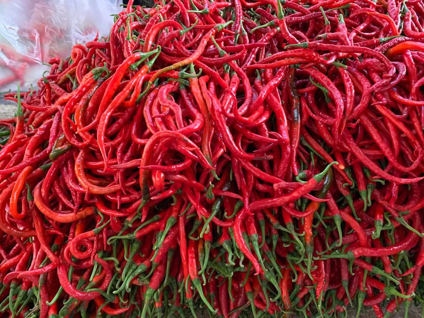 老奶奶50年做辣椒酱的秘方,经典下饭拌面夹馍酱