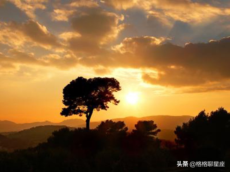 2022年桃花满天飞的星座,粉红泡泡的星座