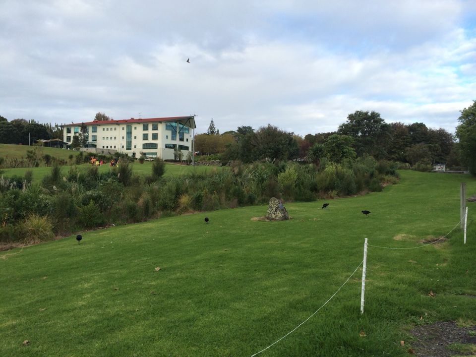 去新西兰留学读什么大学好,新西兰留学八大院校费用