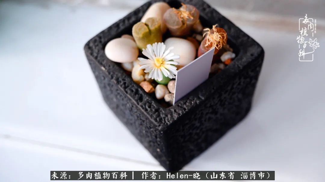 人到中年温暖如初,人到中年岁月静好