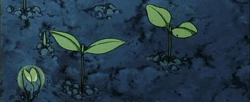 樱花头皮护理,樱花护发精油改善干枯防毛躁滋润