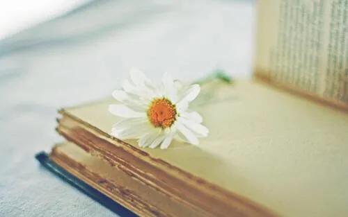 假期的松弛自由感,假期里的慵懒生活