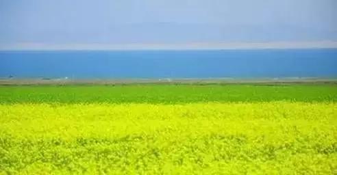 34个省市的文化符号有哪些 (人民日报34个省份文化符号)