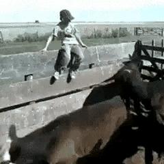 上厕所没有厕纸只能用绳子,上厕所没有卫生纸能用吗