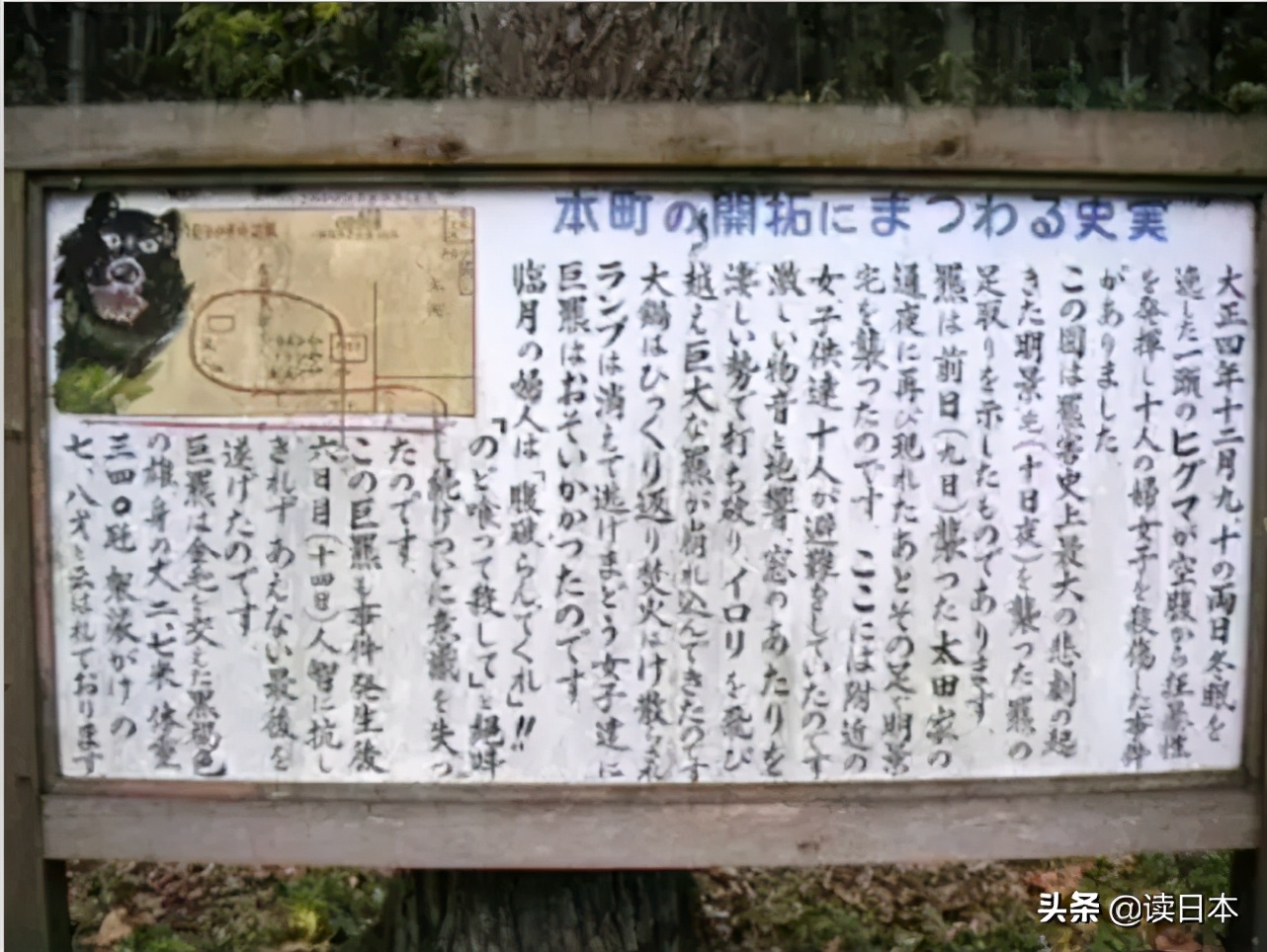 日本熊吃人事件地点,17年日本熊吃人事件