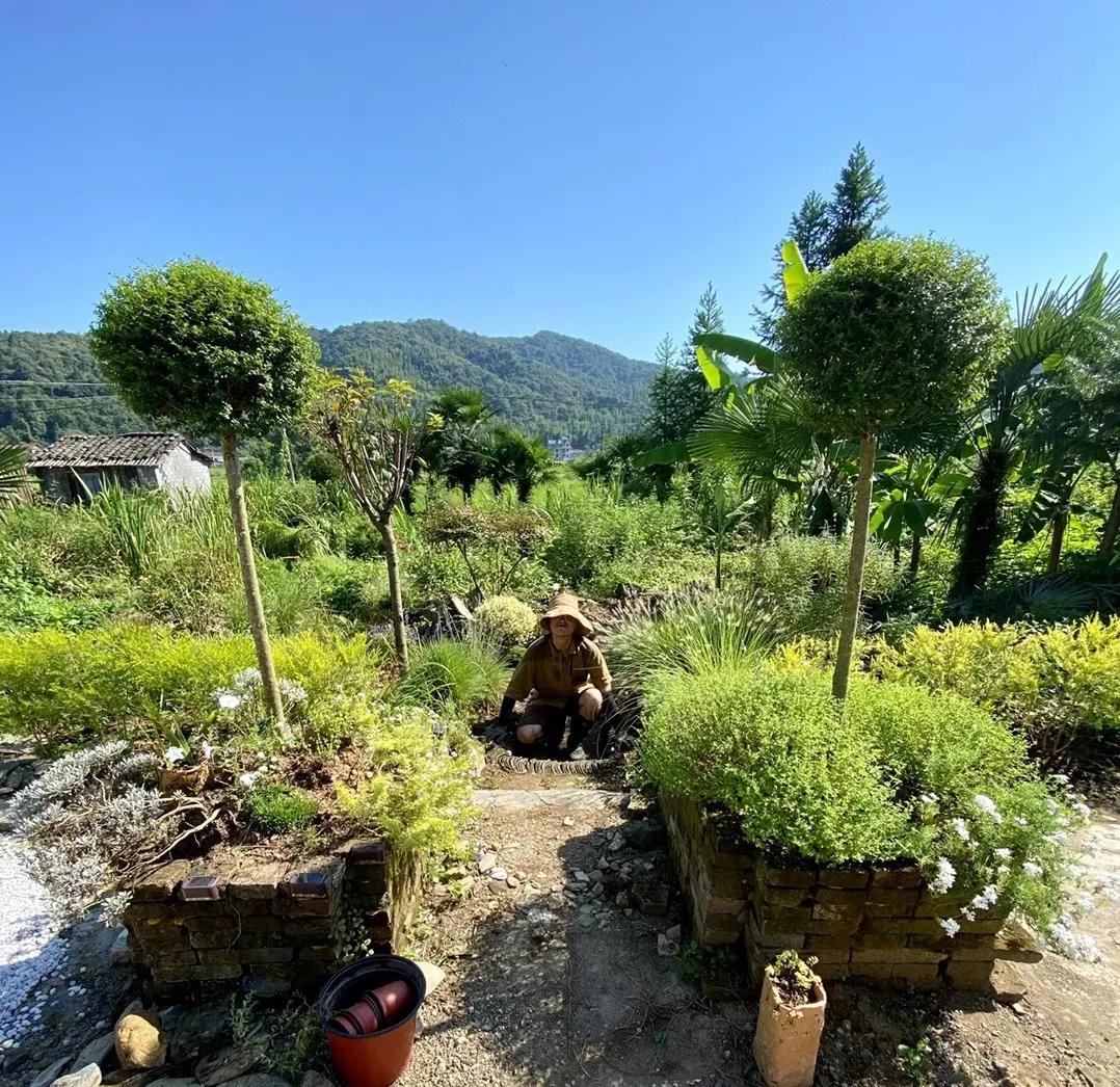 90后男孩住进郊区老屋，徒手打造400㎡自然花园，里面装满小精灵