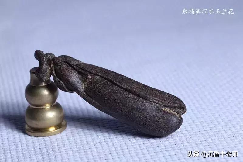 哪儿的沉香好有收藏价值,越南沉香有没有收藏价值