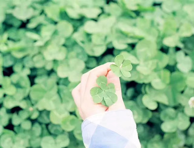 来天津必吃的八样小吃,在天津不得不吃的几样美味小吃