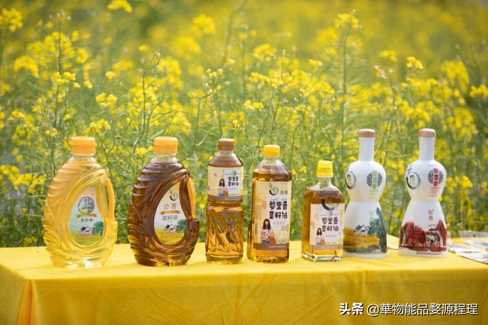 江西婺源油菜花音乐节,婺源油菜花文化节