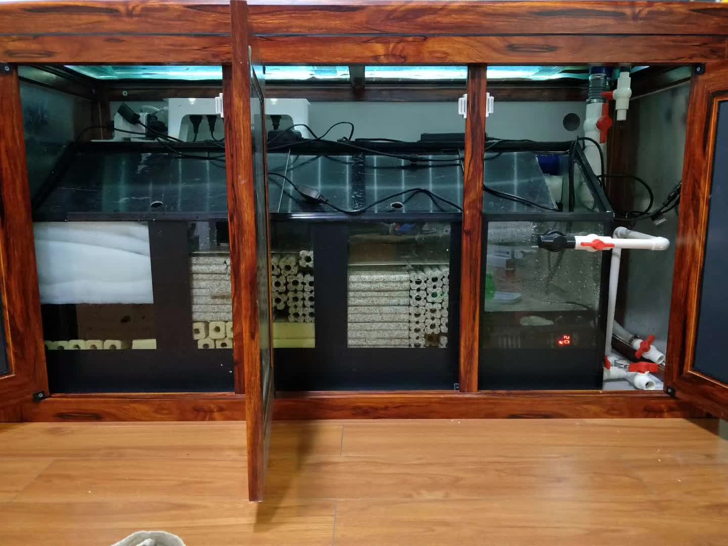 鱼缸养锦鲤鱼的方法和技巧,鱼缸新手养锦鲤鱼的正确方法