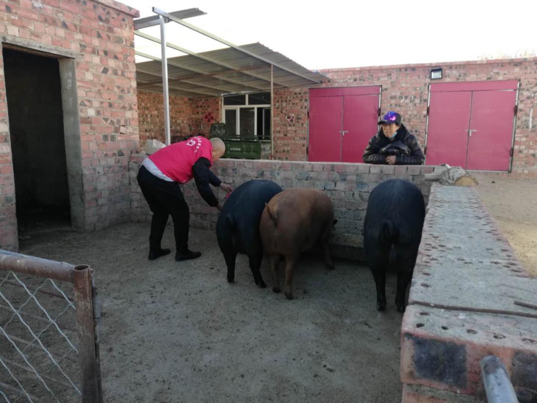 固阳县金山镇新时代文明实践,喜报固阳县文明创建再添荣誉