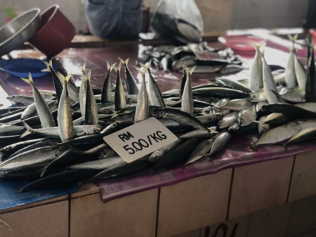 出不了门的心情,出不了门的日子让人心绪难平