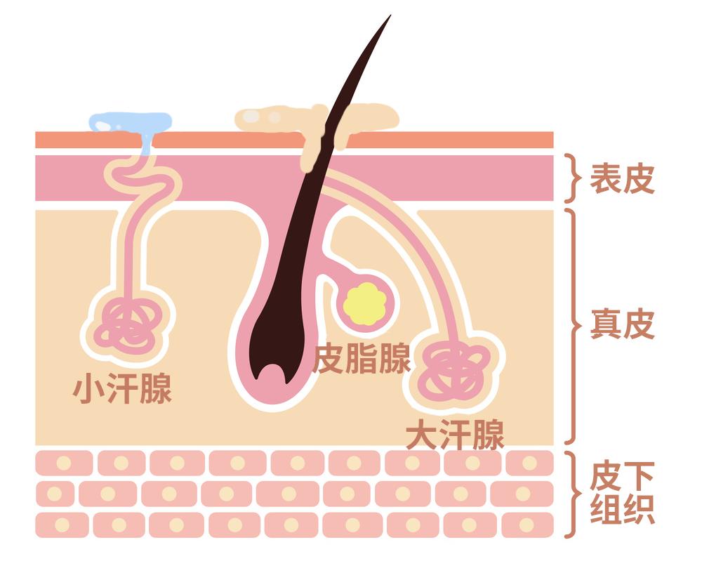 为什么用了妇科洗剂会痒,用妇科洗剂洗了有瘙痒怎么办
