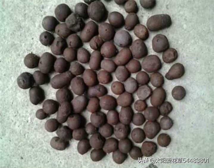 养花在花盆底下垫什么东西最好,养花盆用什么垫底好