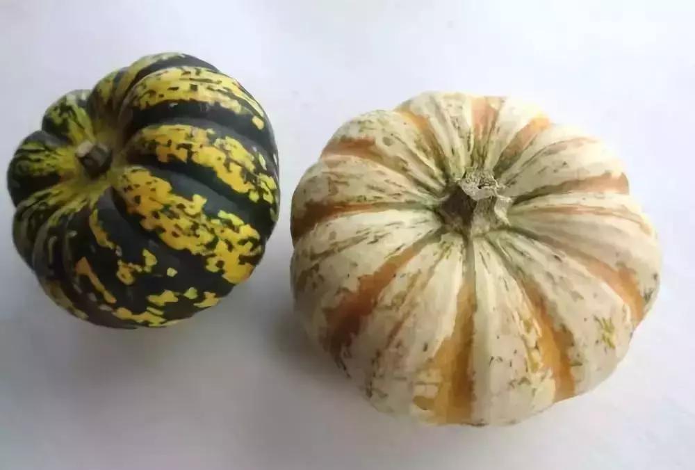 南瓜钩织法图文教程,南瓜的钩织全教程