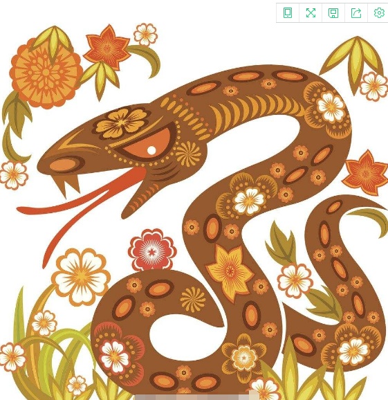 犯太岁的生肖过完2019年会好吗,2019年犯太岁的生肖及化解方法