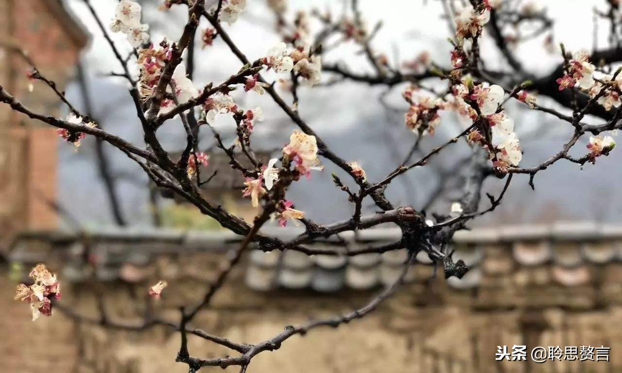 十首顶级哲理诗词名句,经典诗句励志古诗句