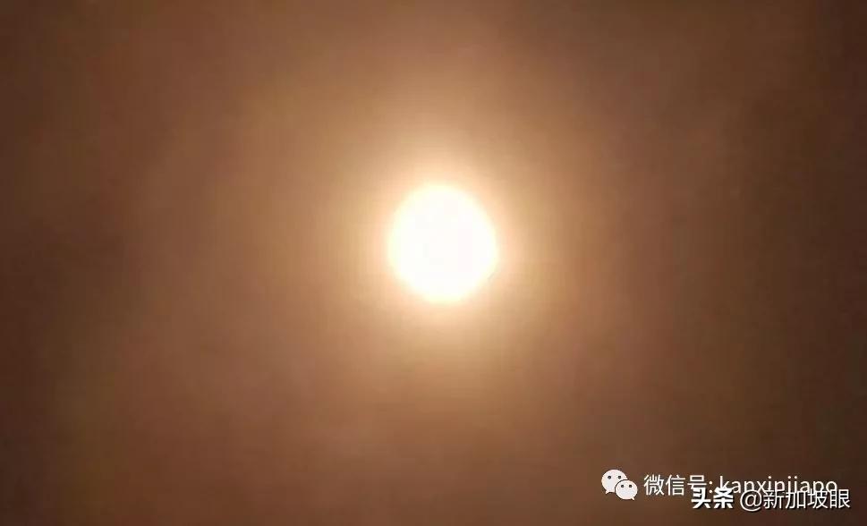 日环食明天登场，新加坡这些地方都可以观看