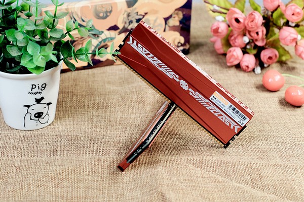 打破垄断纯国产电脑,台电2666内存条测评