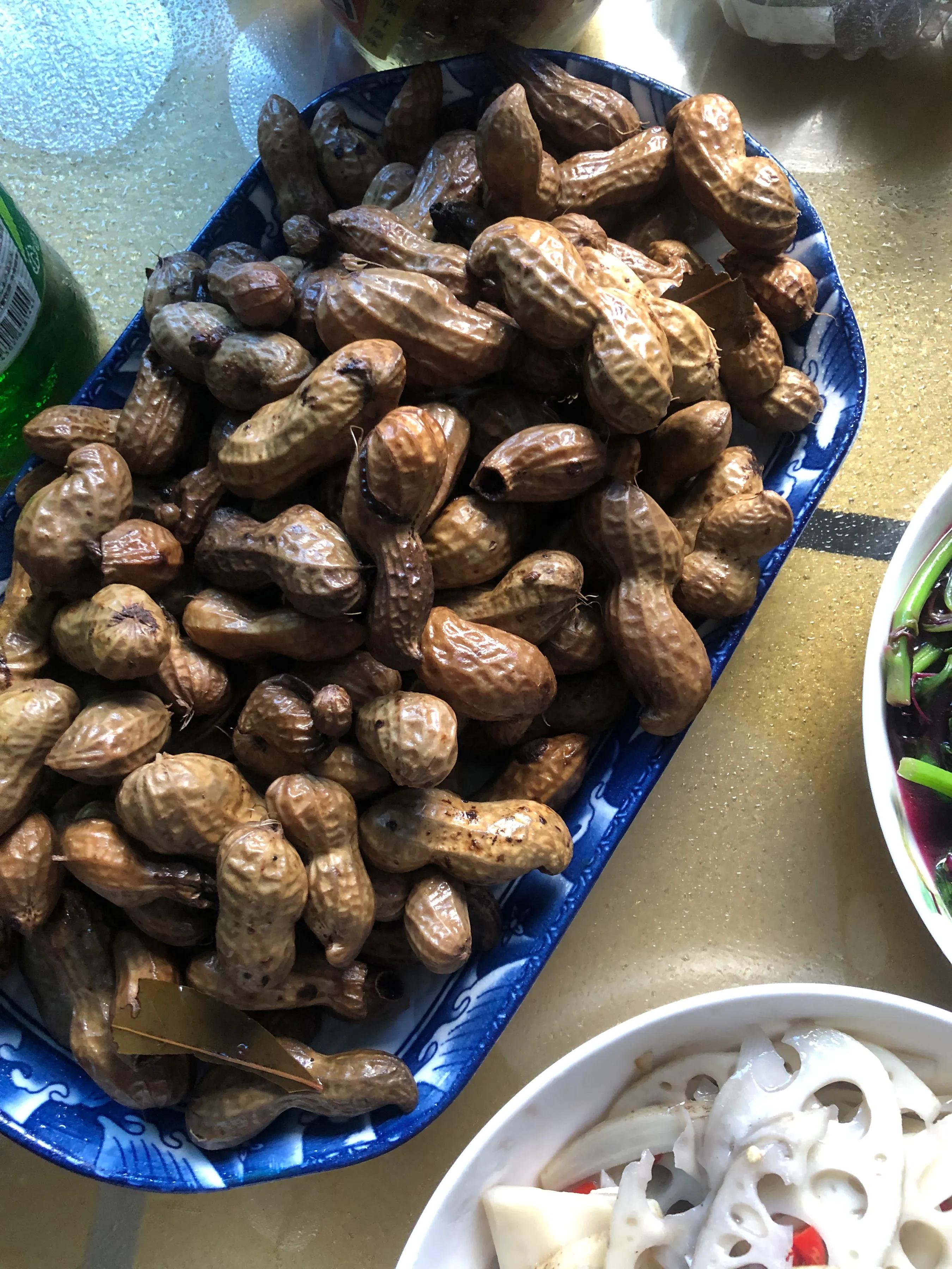 战疫期间对生命的感悟,战疫的青春感悟