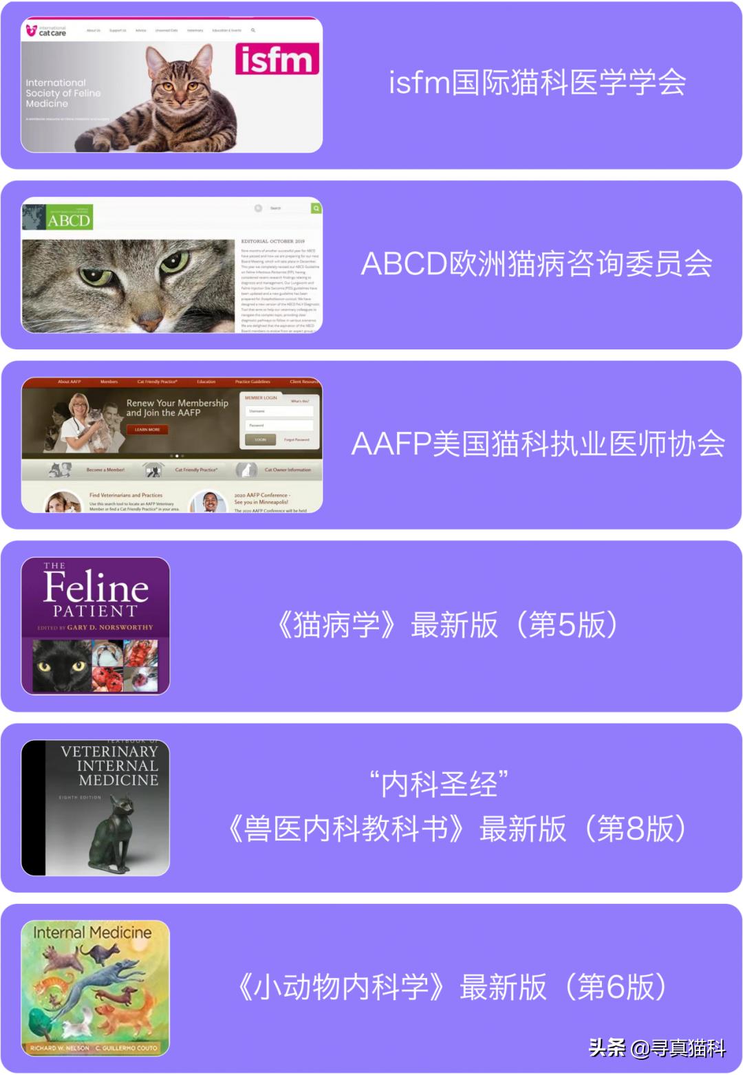 猫子宫蓄脓还能生崽,猫的子宫蓄脓