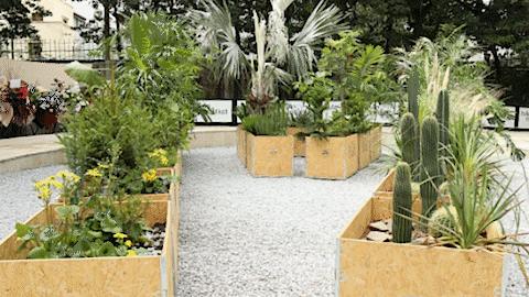 时髦精都在逛的hAomArket好市，一站式承包你的冬日小众好物