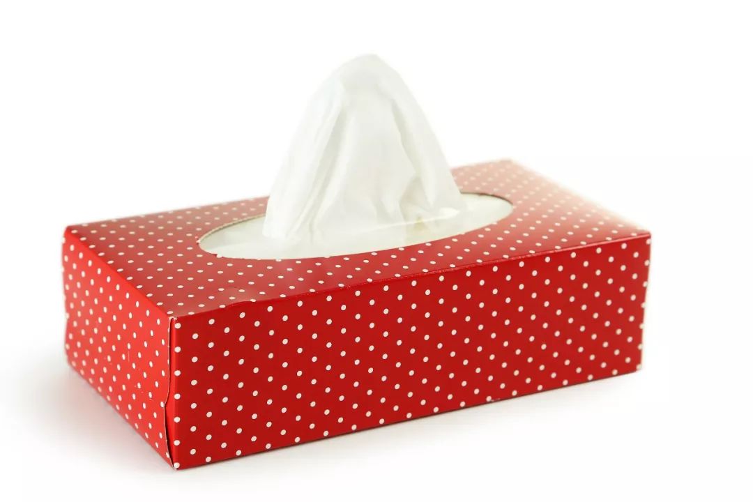 高质量陪伴系列｜连续十几天不出门，降服作妖小兽的新玩意来了