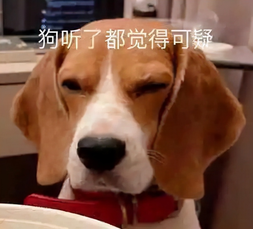 ofo在哪里退押金,ofo退款事件真的假的