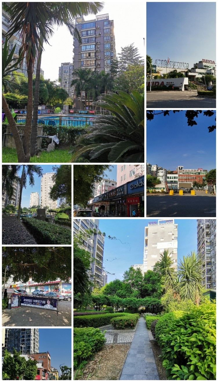 福州金山小学学区房房价,福州金山有哪些学区房