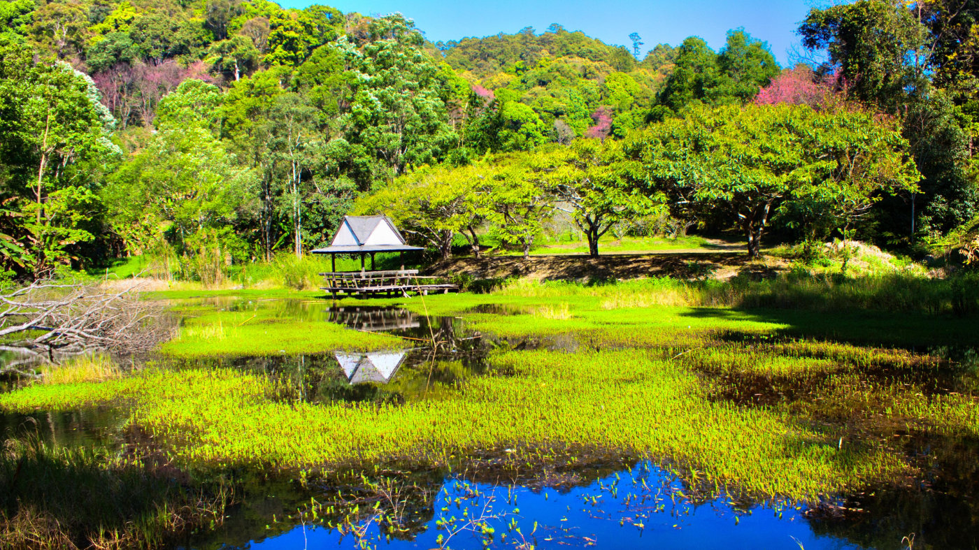 泰国清迈自由行旅游七天游,泰国清迈旅游白庙