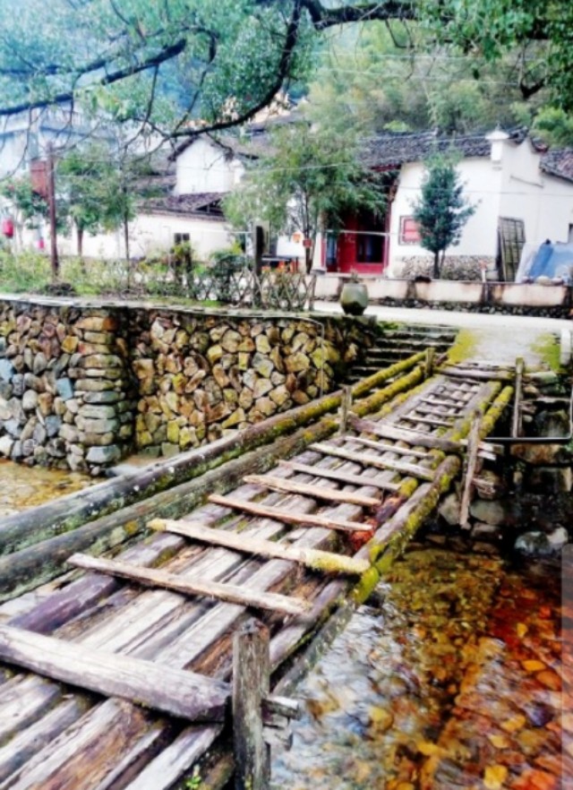 浙江传统村落：松阳李坑村，被美誉为生态旅游，绿色氧吧的村落