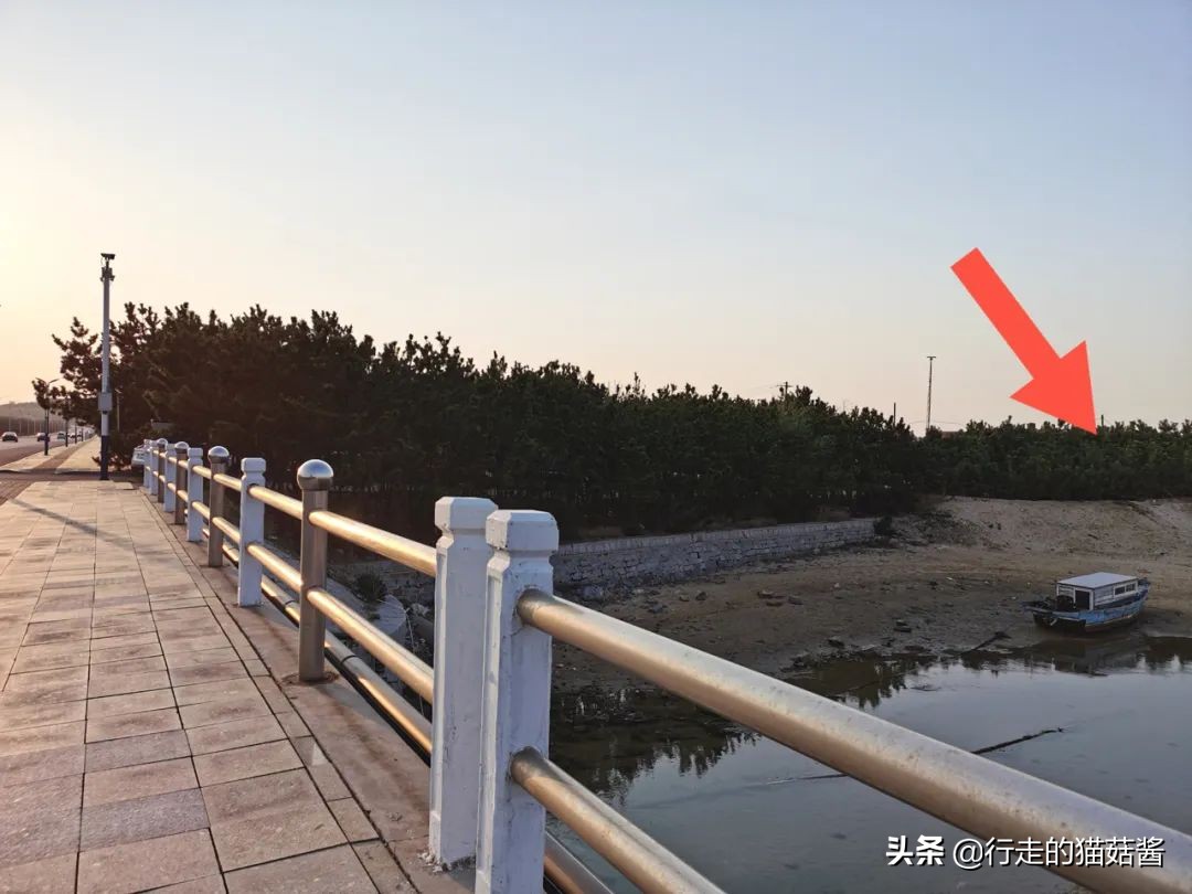 养马岛4a风景区,烟台养马岛景区