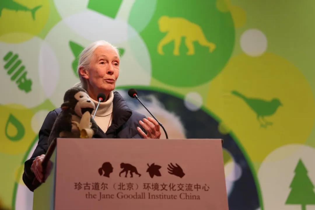 珍妮古道尔个人简介,珍妮古道尔中国学生