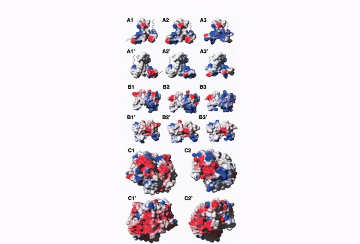 一个成年人被科莫多巨蜥咬了一口，现在的医学水平能救吗？