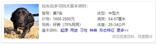 狗狗品种大全及介绍,狗狗品种大全带你走进狗狗的世界